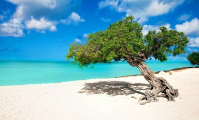 5 Things to do in Aruba